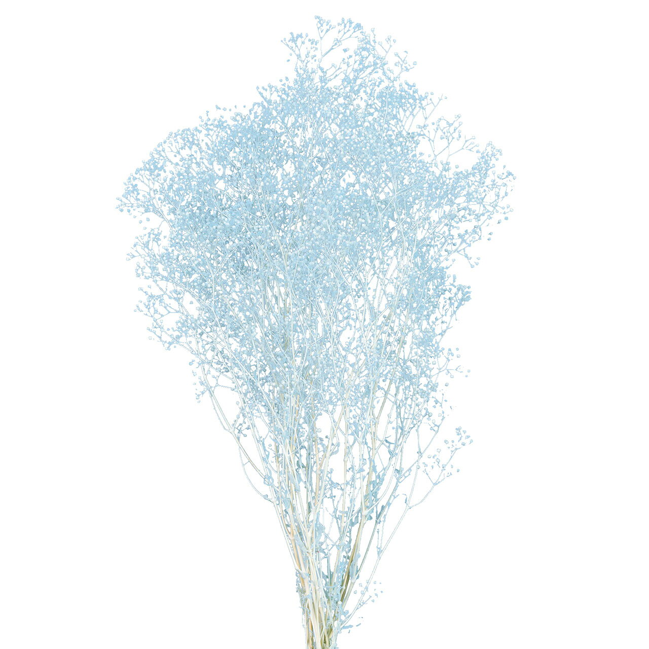 ミニカスミ草 フロストブルー 1束[TDLFD004551-134]|プリザーブドフラワー フラワー（プリザーブド） カスミ草【花束アレンジ 天然素材 インテリア装飾 店舗ディスプレイ インテリアフラワー フラワーギフト 】