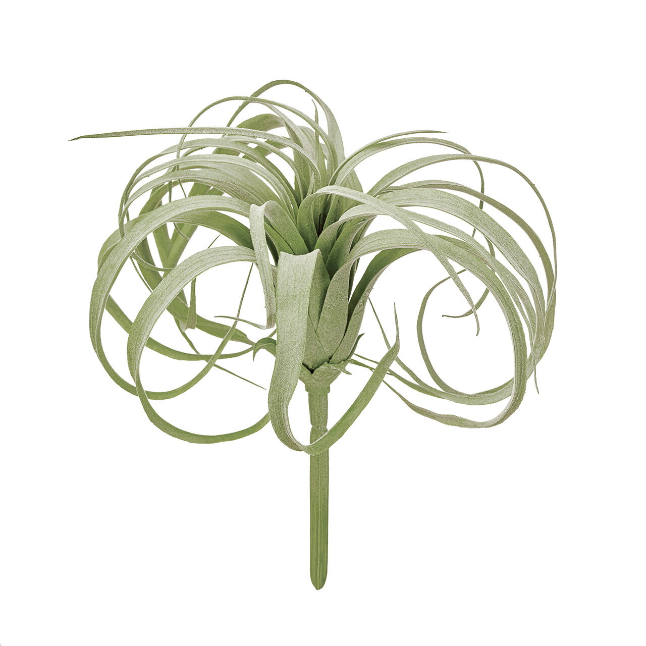 ティランジアレオ GR．GR 1本[TDLFG001663]|アーティフィシャルフラワー 造花 グリーン リーフ 多肉植物 多肉植物