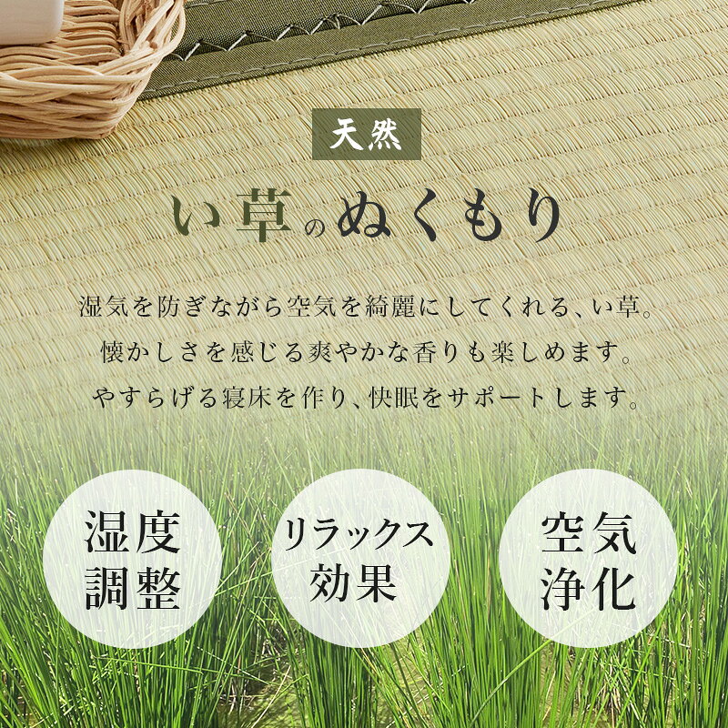 緑花堂ストアの畳セミダブルベッド ライトブラウン/キフネ[THU3000004373]|インテリア・寝具・収納 ベッド 畳ベッド【和モダン 和風 ローベッド 高床式 通気性 カビ対策 湿気対策 フロアベッド 布団対応 マットレス対応 和室 寝室 】｜アングル3