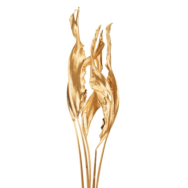 約L60cm ストレチアリーフ ゴールド ドライフラワー フラワー カラー [TDLDO050250-902] 代引決済不可|天然素材 造花 フェイクグリーン 資材 装飾 デコレーション 飾り イベント パーティー フラワーアレンジメント 花材 インテリア 店舗装飾 ディスプレイ 飾り付け
