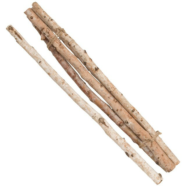 約φ2〜2.5×L70cm 白樺枝 N ドライフラワー 枝もの ナチュラル [TDLDO052560-000] 代引決済不可|天然素..