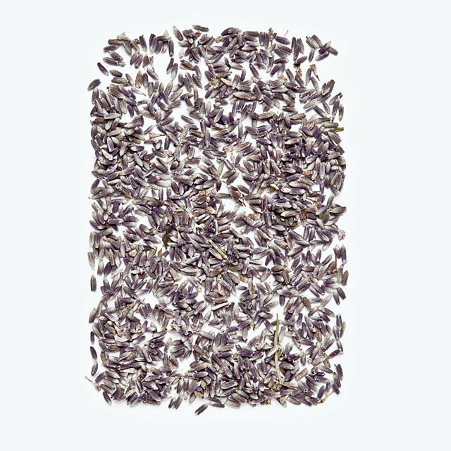 ラベンダーポプリ ナチュラル ドライフラワー ナチュラル素材 その他 [TDLDT062042] 代引決済不可|店舗..