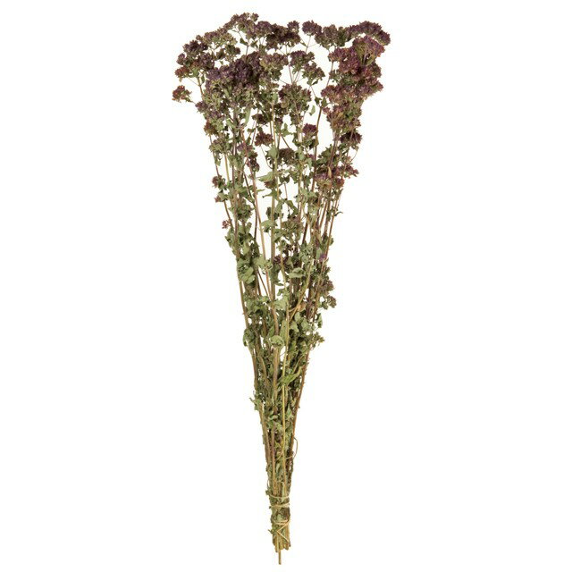 約L40cm オレガノ ドライフラワー フラワー ナチュラル [TDLFD003075] 代引決済不可|天然素材 アートフ..