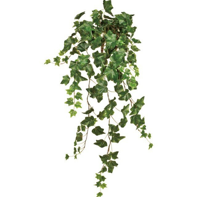 ӡ󥰥Х 24GREEN ¤ ꡼ ꡼ ¿ʪ ӡ [TDLFG001467-024] ...