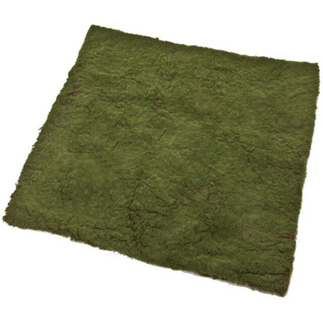 ʥ⥹ޥå GREEN ¤ ١  ޥå  [TDLFG003005] Բ