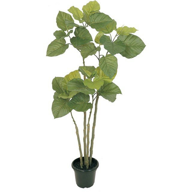 W55XH120cm ウンベラータ GREEN 造花 インテリアグリーン 観葉樹木 [TDLFG005228] 代引決済不可|人工観..