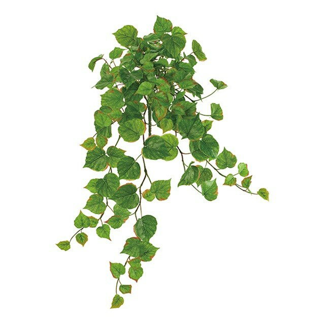 マチュリテコットンウッドバイン LTGR 造花 グリーン リーフ 多肉植物 その他 [TDLFG005278] 代引決済不可