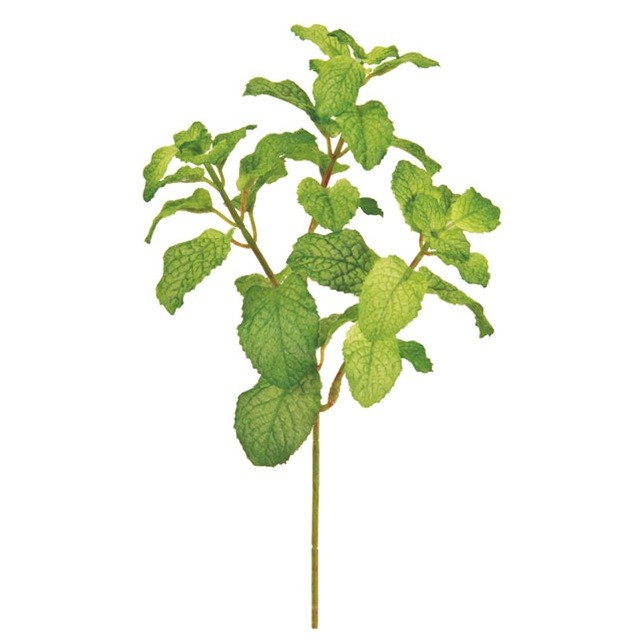 ペパーミント ＃24　GREEN 造花 グリーン リーフ 多肉植物 ハーブ [TDLFG006100-024] 代引決済不可