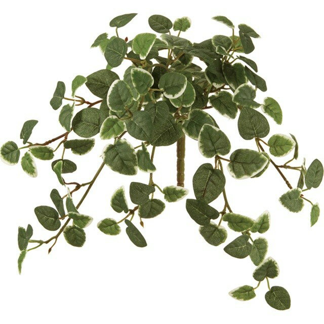 プミラバイン GREEN 造花 グリーン リーフ 多肉植物 プミラ [TDLFG006342] 代引決済不可