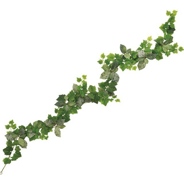 եåȥ˥졼ץߥå GREEN ¤ ꡼ ꡼ ¿ʪ 졼ץ꡼ [TDLFG008904] ...