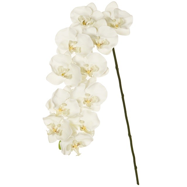 ファレノプルミエールL CREAM 造花 フラワー 胡蝶蘭 ファレノ [TDLFM004830] 代引決済不可