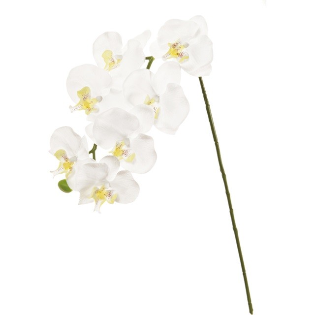 ピュアファレノプルミエールM WHITE 造花 フラワー 胡蝶蘭 ファレノ [TDLFM005831] 代引決済不可