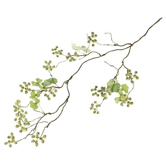 ꡼󥹥⡼٥꡼󥰥ĥå FRGR ¤ ޤ դޤ [TDLFM007590] Բ
