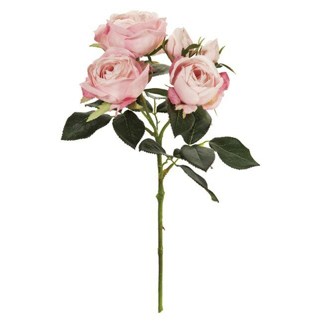 ꡼̥ 2PINK ¤ ե  Ф [TDLFM009448-002] Բ