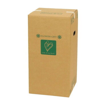 フラワーメールボックスM リボン ラッピング 包装資材 パッケージ アレンジBOX リースBOX [TDLGF028300] 代引決済不可|装飾 飾り付け ディスプレイ ボックス 箱 10枚 台紙付 15枚 W30XD30XH60cm