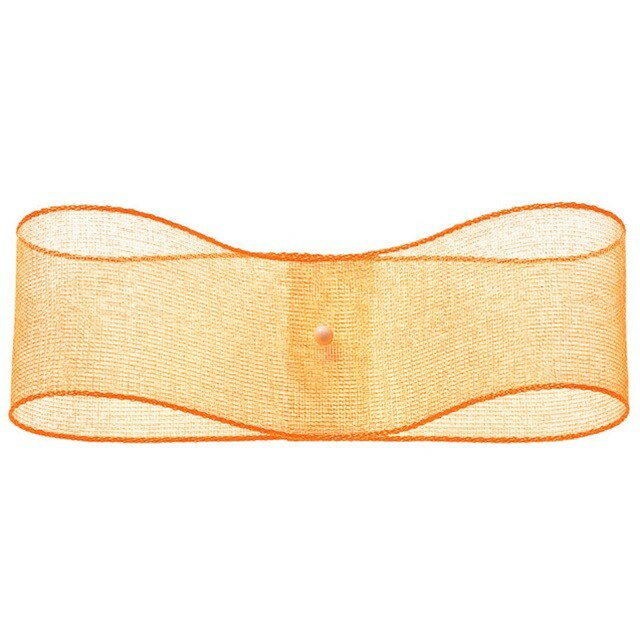 エッジドオーガンジー W2.5cm×30m 37 リボン ラッピング 包装資材 リボン オーガンジー [TDLRT031700-0..