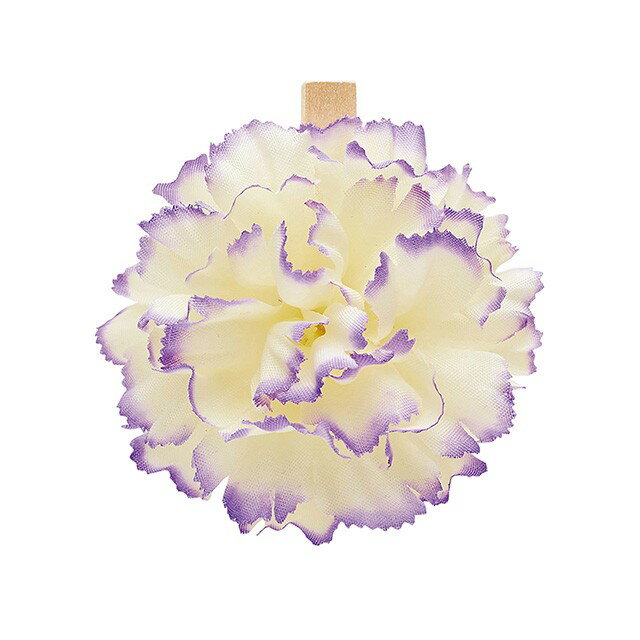 åץ͡II55X6CM20 24Gѡץ ǥ졼 ǥ졼ѡ ¾ [TDLRT092930-024] ...