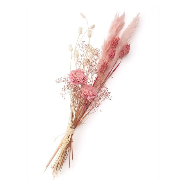 約L40cm ブーケピース・ロング 011 011 5束入り ドライフラワー フラワー ナチュラル [TDLDO0BP001-011]|天然素材 造花 フェイクグリーン 資材 装飾 飾付 デコレーション イベント パーティー フラワーアレンジメント 花材 インテリア 店舗装飾 ディスプレイ