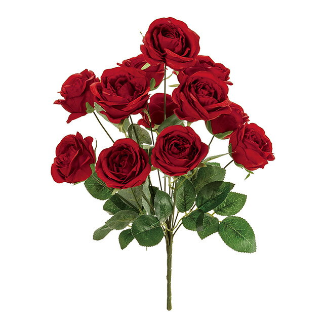 륷֥å 3RED ƥեե ¤ ե  Ф [TDLFM001617-003]