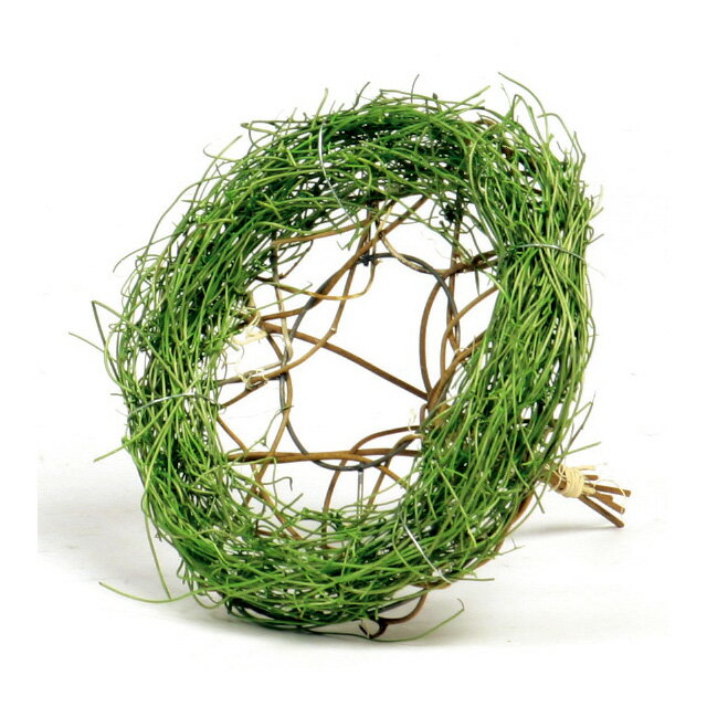 バインベース　Φ15 グリーン 10個入り 花器 ベース [TDLKA602058-00G]