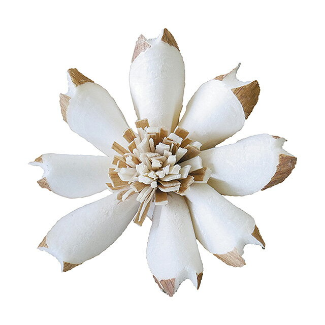 ソラ Dサクラ 白 ドライフラワー ナチュラル素材 ハンドメイド フラワー [TDLYF138301]|店舗装飾 装飾 飾り付け ディスプレイ ホワイト 5cm 8個