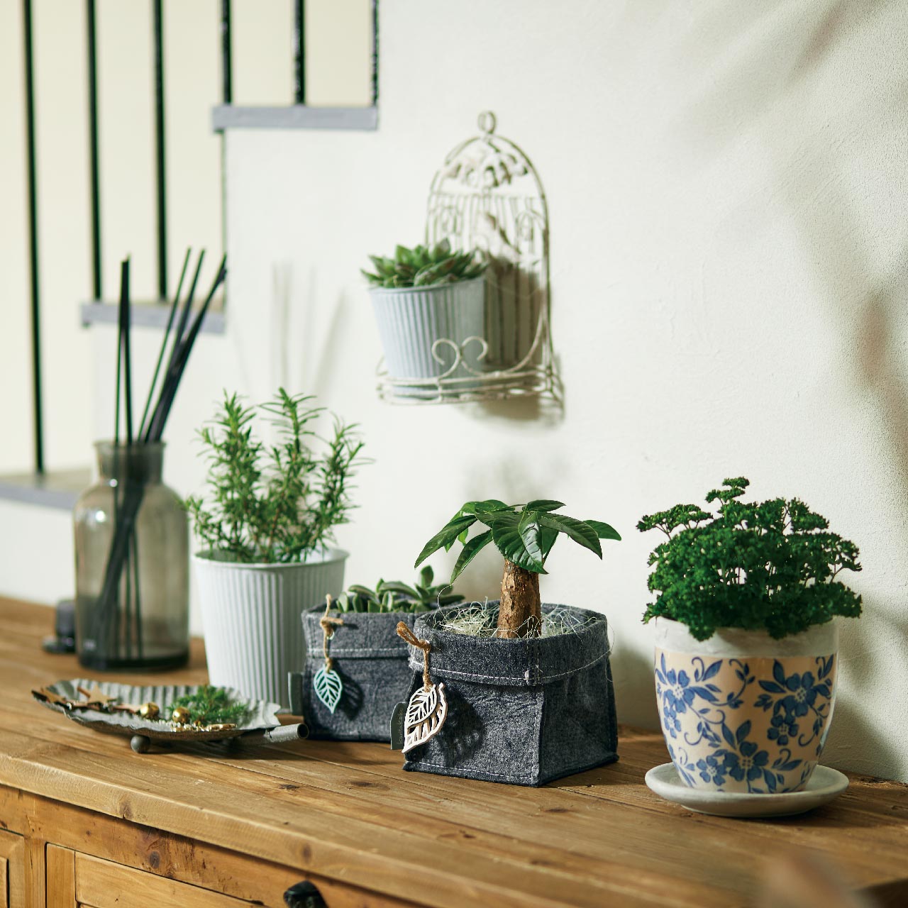 Re��pot10��14H ���졼 �ִ�١��� [TDLCC980001-811] ȭ���С� �����ǥ˥����� ����ƥꥢ�ִ� �ץ쥼��� �� �ץ�󥿡� �ִ� ȭ ¤�� �ֺ� �ե����