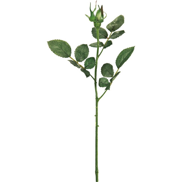 プリステムローズ S グリーン プリザーブドフラワー [TDLFG010937] 1束 アレンジメント花材 ハンドメイド資材 フェイクグリーン 人工観葉植物 インテリアグリーン ディスプレイ