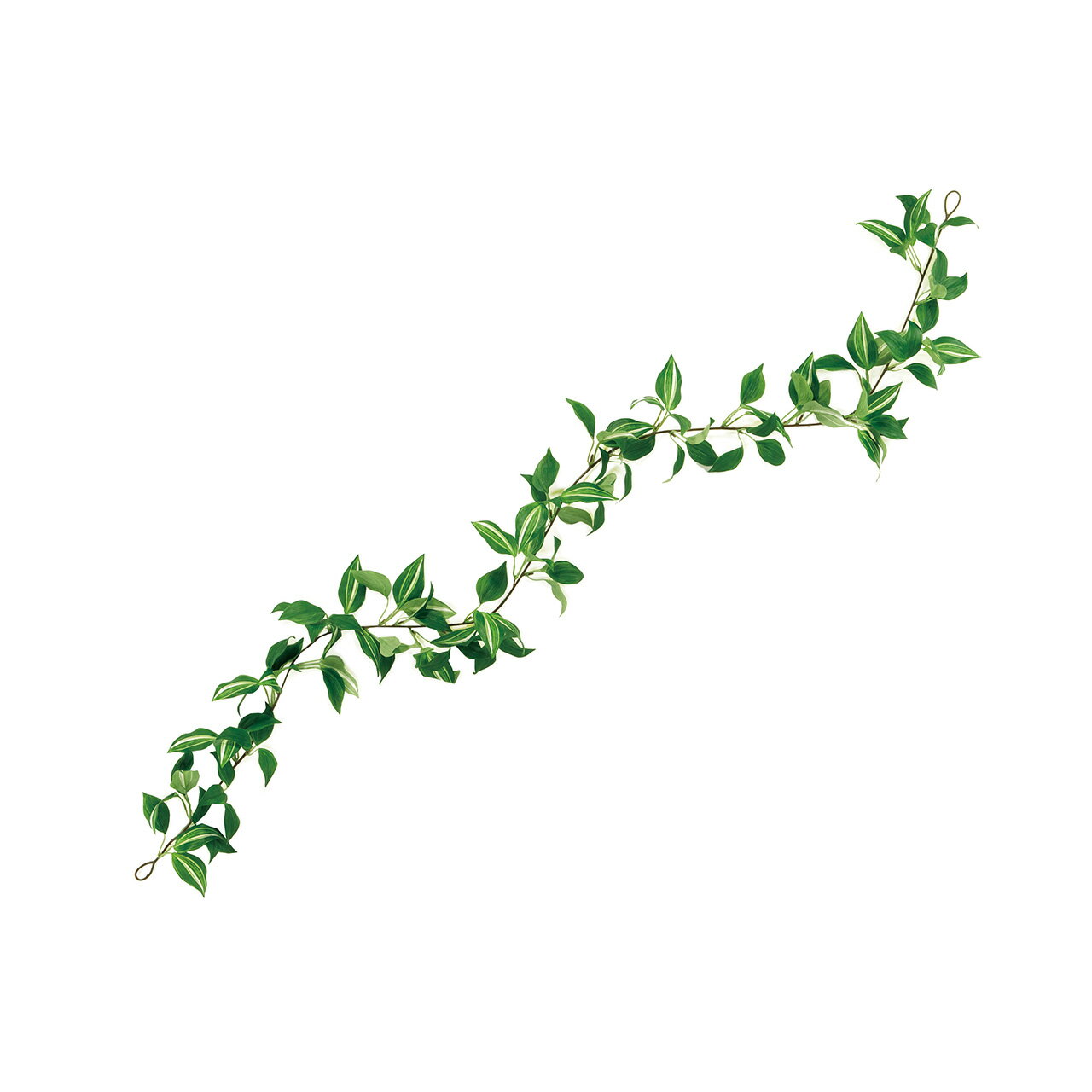 トラディスカンティア ガーランド アーティフィシャルグリーン 造花 [TDLFG300454-024] アレンジメント花材 ハンドメイド資材 インテリアグリーン 飾り デコレーション ディスプレイ