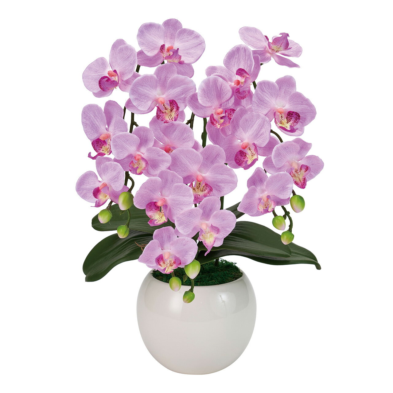 ピュアオーキッド 3本立て（ファレノミリー）ライラックアーティフィシャルフラワー 造花 胡蝶蘭 アレンジメント 光触媒加工 フラワーギフト [TDLZV008070-050] プレゼント 庭 アレンジメントフラワー 人工観葉植物 ガーデニング用品 送料無料