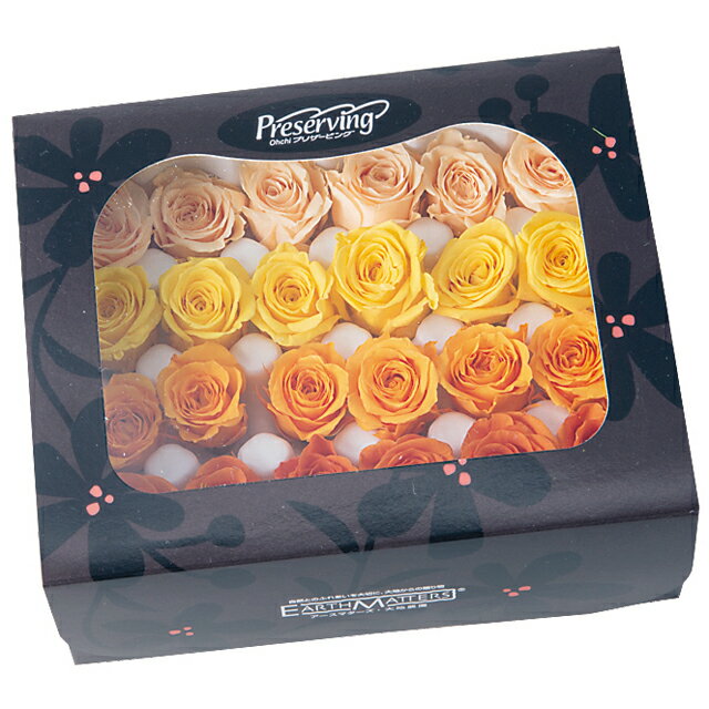 ビビアン カラーアソート オレンジミックス プリザーブドフラワー 24輪入 ローズ バラ [TDLDO002374-34..