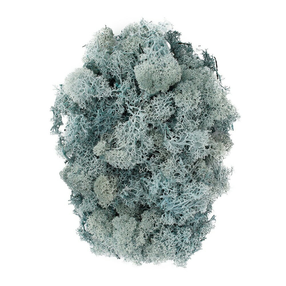 フィンランドモス ブルーグレー プリザーブドフラワー 1袋 モス[TDLDT075615] フラワーアレンジメント..