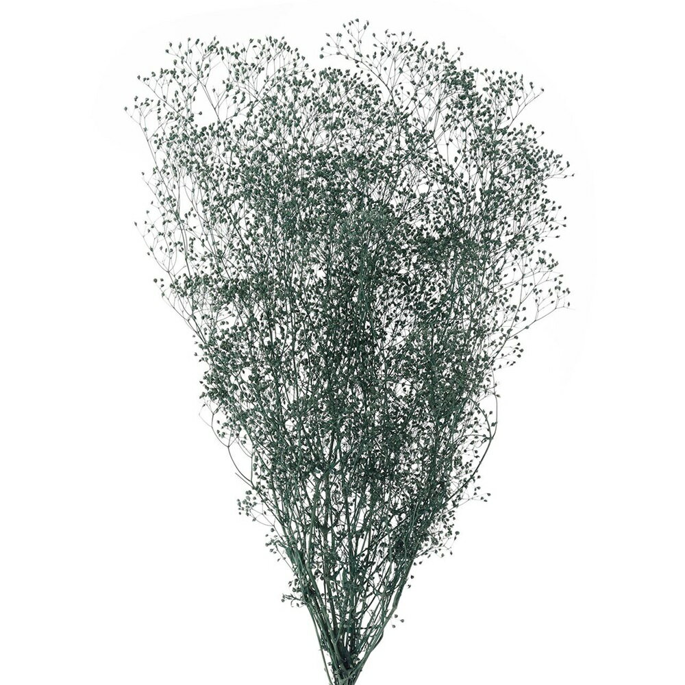 ミニカスミ草ターコイズプリザーブド...