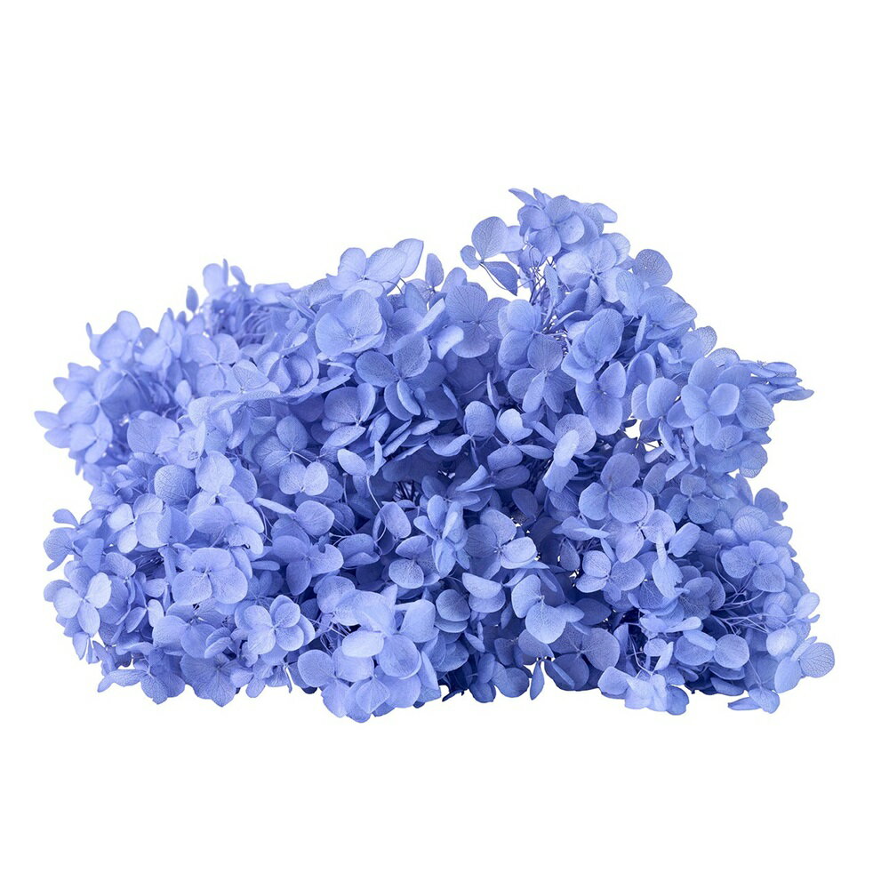 ソフトあじさいアナベルブルーベリー...