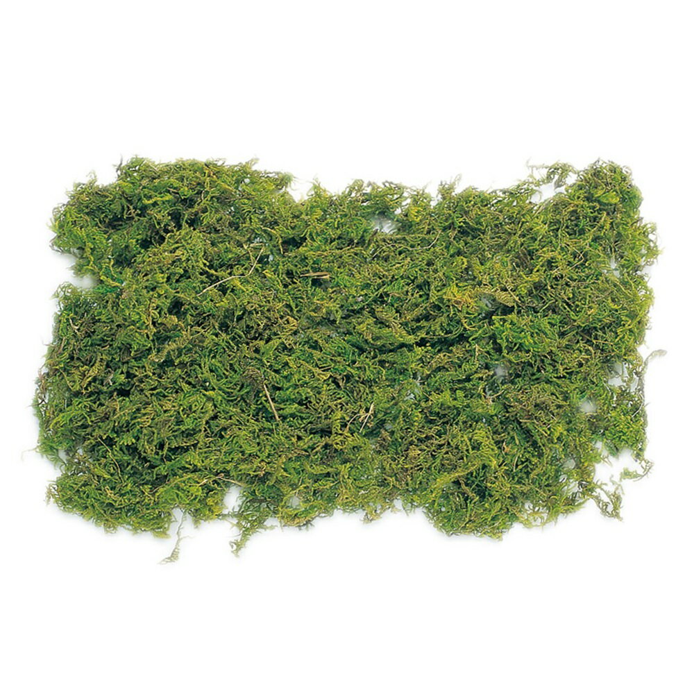 山ゴケ 大箱 グリーン 約1キロプリザーブドフラワー 1BOX モス [TDLDO061171-700] アレンジメント花材 ..