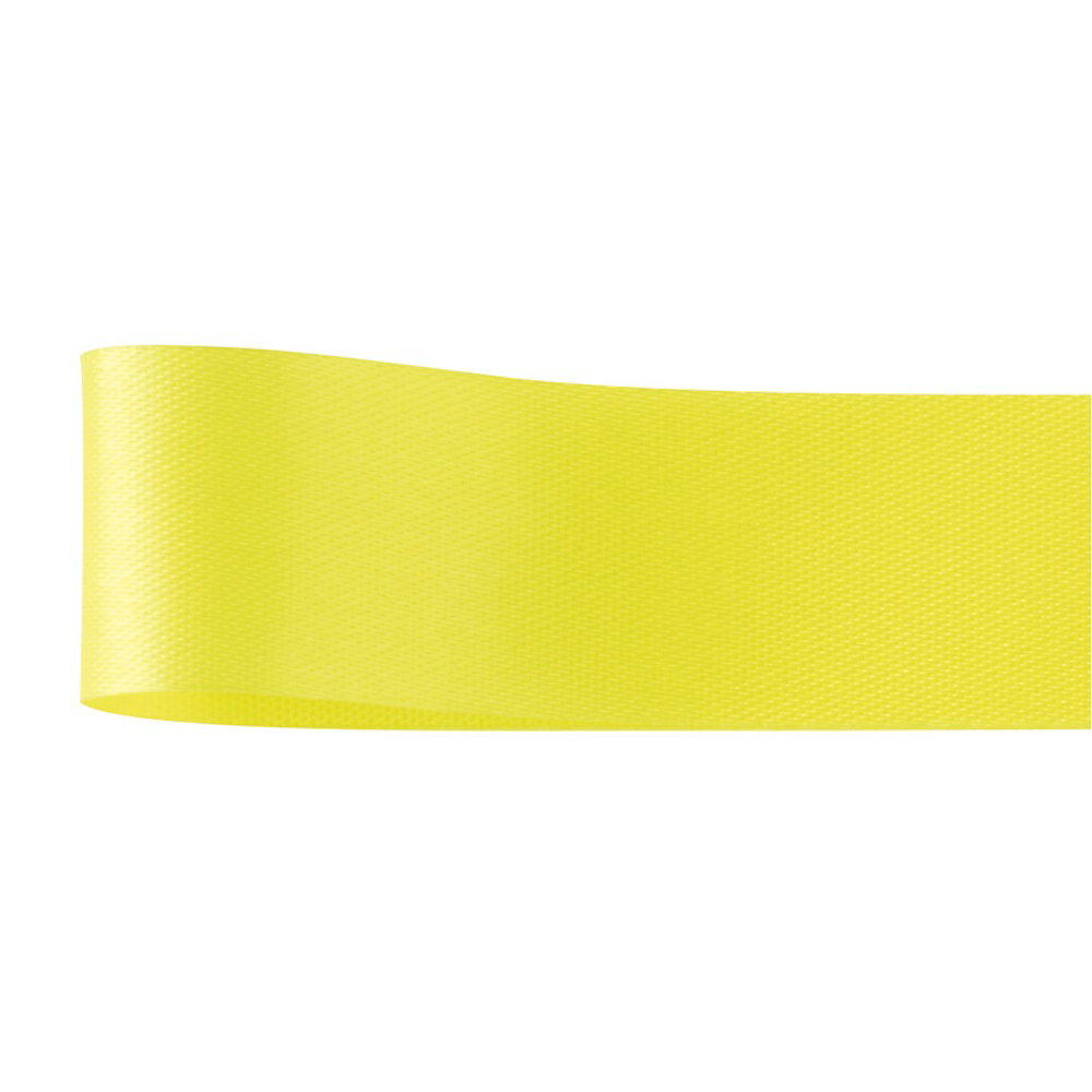 カスタムサテン22mm#31巻リボン包装資材[TDLRA001301-003] 装飾 フラワーギフト ハンドメイド資材 ディ..