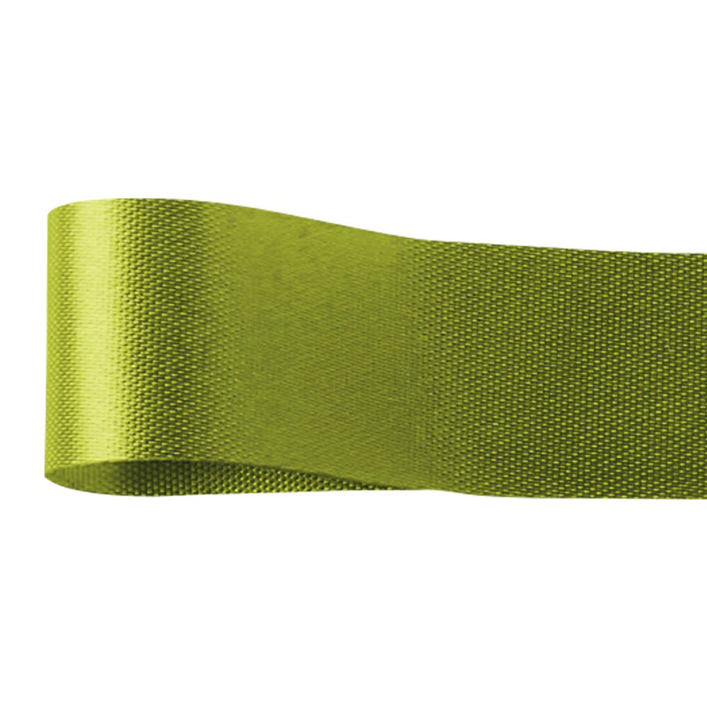 カスタムサテン22mm#281巻リボン包装資材[TDLRA001301-028] 装飾 フラワーギフト ハンドメイド資材 デ..