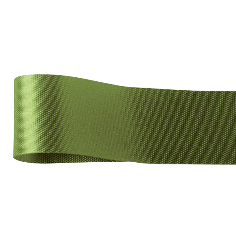 カスタムサテン22mm#411巻リボン包装資材[TDLRA001301-041] 装飾 フラワーギフト ハンドメイド資材 デ..