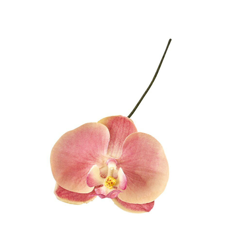 アミュゼファレノ ＃6　PC．PK（12本入り）造花 フラワー 胡蝶蘭 ファレノ [TDLFW090184-006] 代引決済..