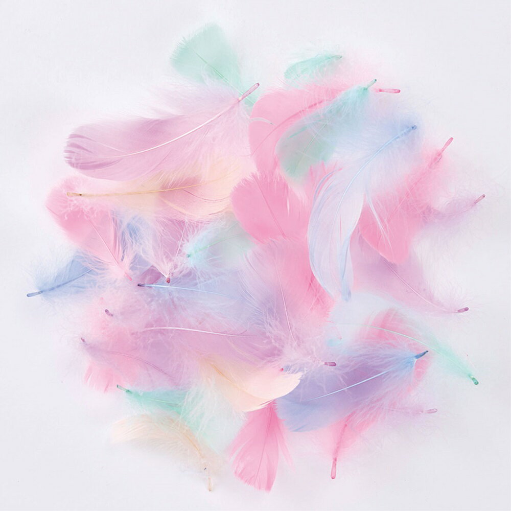 եåƥե100եѡ[TDLGI000391]٥ ѻ ֥ եե ϥɥᥤɻ ǥ ץ쥤 ǥ˥ ֥  ʥ ƥꥢե