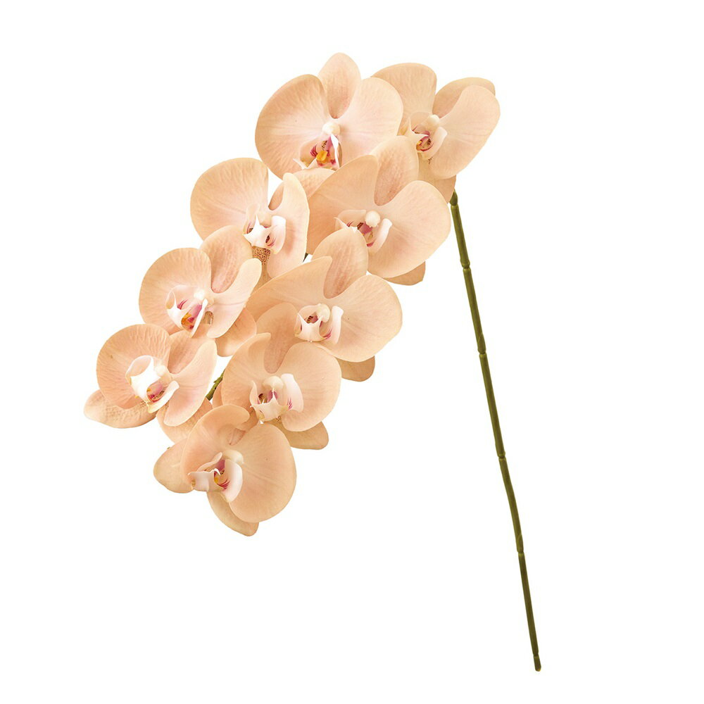 フルブルームファレノピーチ／ベージュアーティフィシャルフラワー造花オーキッド蘭[TDLFM009649-013] フラワーギフト ハンドメイド資材 ガーデニング用品 ディ スプレイ ナチュラルアレンジ インテリアフラワー