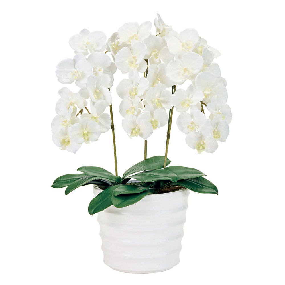 ピュアオーキッド3本立（イノセントファレノ）アレンジメント蘭胡蝶蘭光触媒加工[TDLZV007030] フラワーギフト ハンドメイド資材 イベント用品 ディ スプレイ ナチュラルアレンジ インテリアフラワー オーキッド