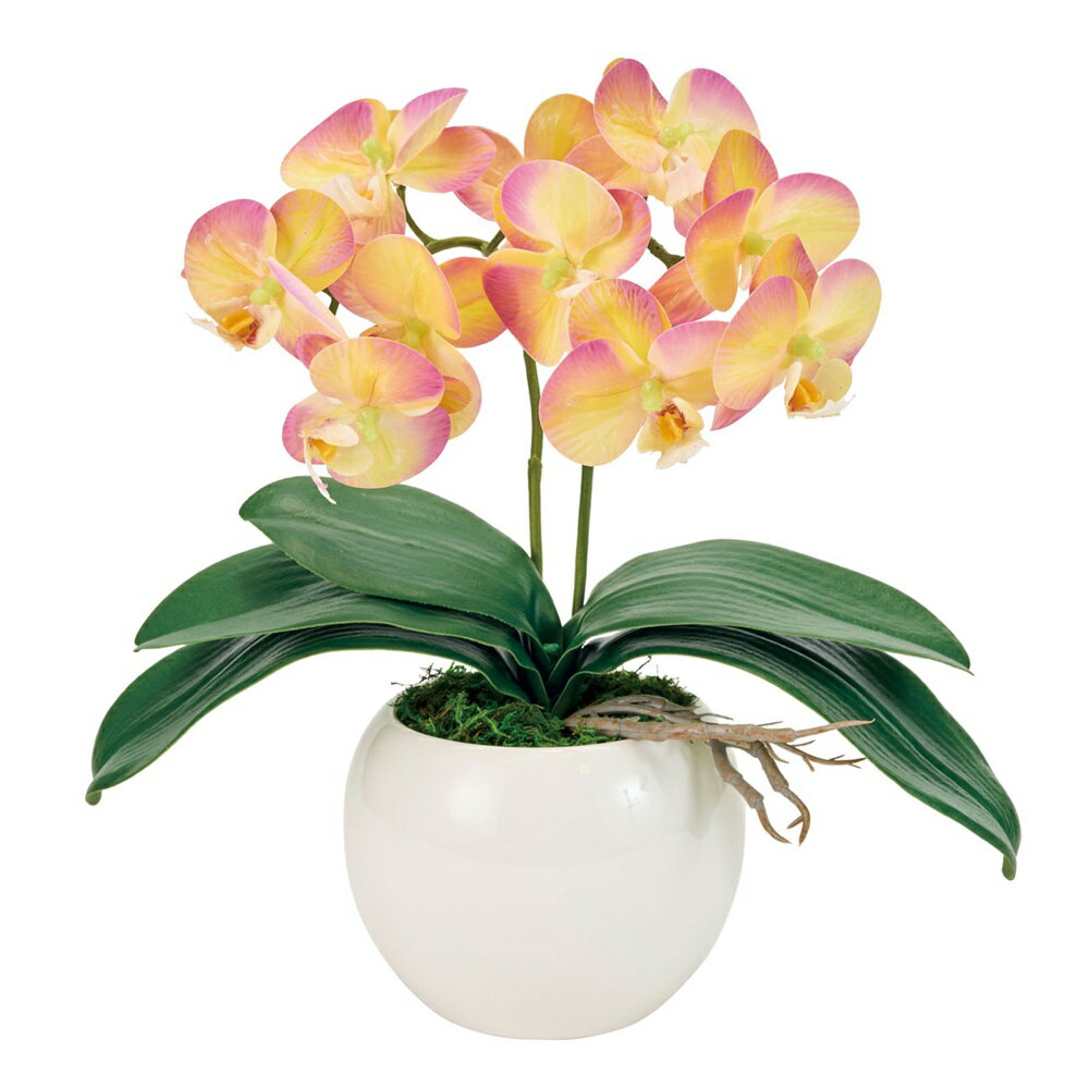 ピュアオーキッド2本立（シェリーファレノ）ラベンダー／イエローアレンジメント蘭胡蝶蘭光触媒加工[TDLZV008072-104] フラワーギフト ハンドメイド資材 イベント用品 ディ スプレイ ナチュラルアレンジ インテリアフラワー オーキッド