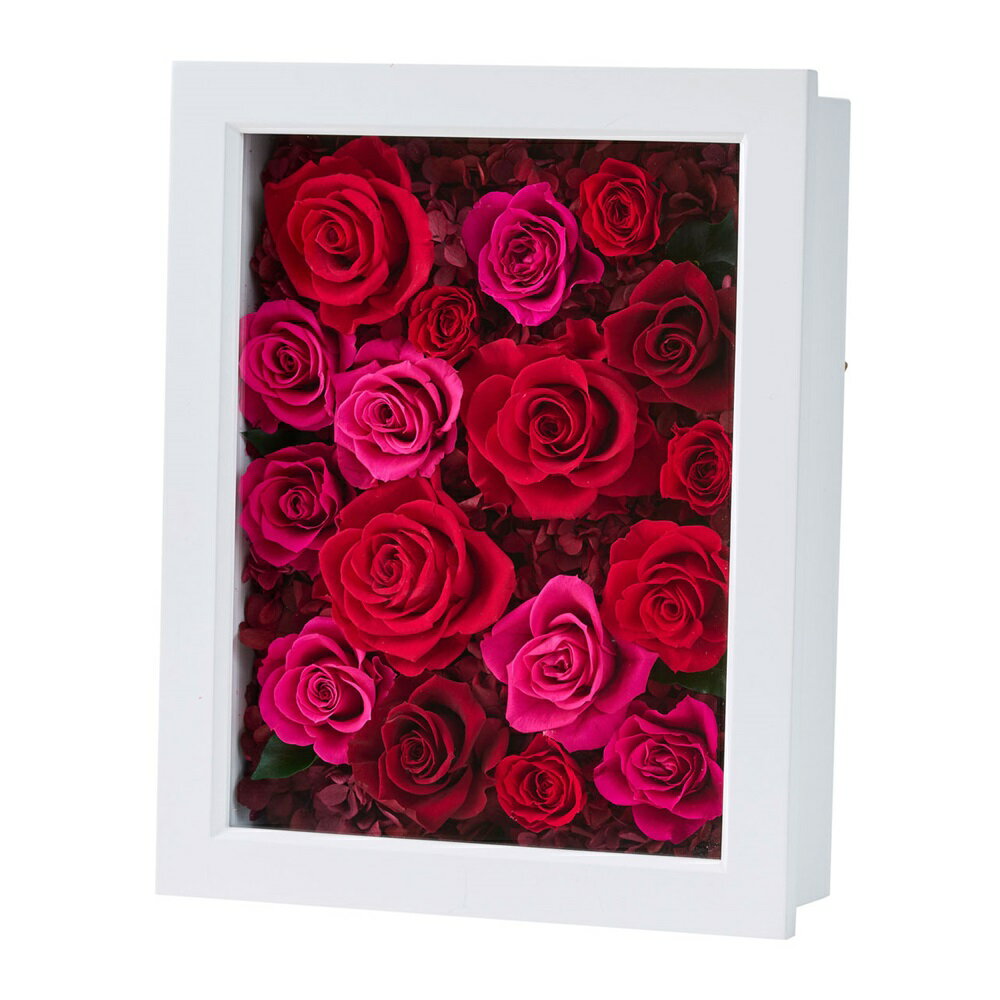 ベルローズフレームレッドアレンジメントプリザーブドフラワーギフトアレンジ[TDLBD000035-003] フラワーギフト ハンドメイド資材 ディ スプレイ デコレーション素材 オブジェ 飾り インテリア花材 アーティフィシャルフラワー