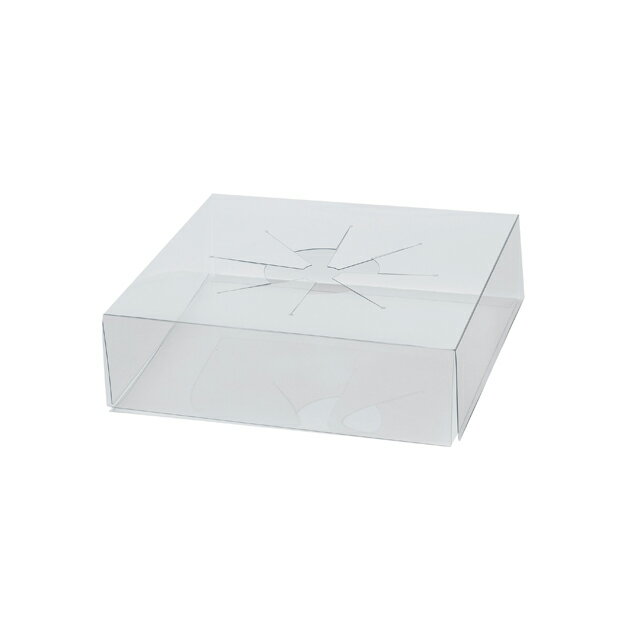 REPE80クリア台紙M10枚入再生素材ケース用台紙エコ包装資材パッケージ[TDLUK008120]【花束ラッピング用..