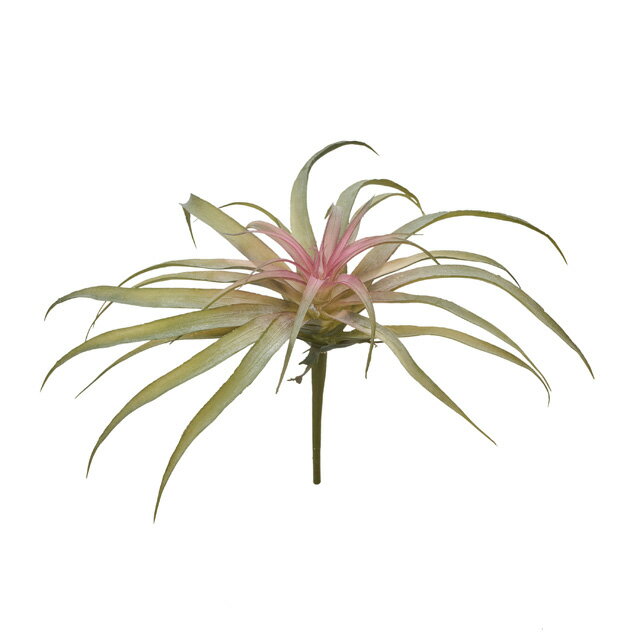 ソニアティランジアLピンクグリーンアーティフィシャルフラワー造花エアプランツ[TDLFG302510-026]【人工観葉植物・インテリアフラワー フェイクグリーン ディスプレイ インテリアグリーン 】