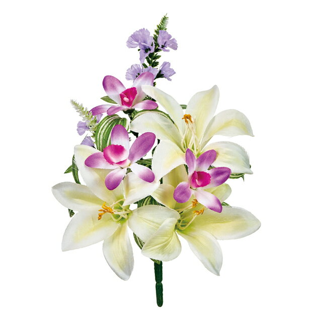 リリーデンファレブッシュクリーム／...