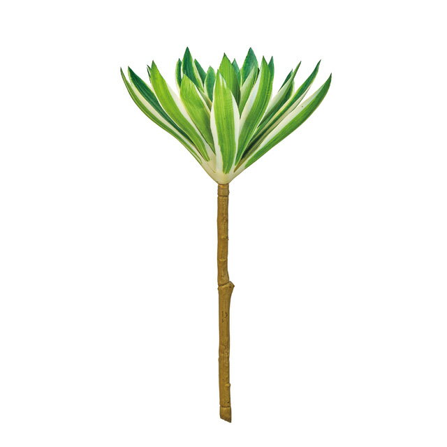 アエオニウム枝グリーン／クリームアーティフィシャルフラワー造花多肉植物[TDLFG002775]【フェイクグ..