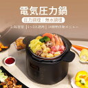 TIGER COK-A220-KM マットブラック TIGER COOKPOT (タイガークックポット) [電気圧力鍋 (2.2L)]