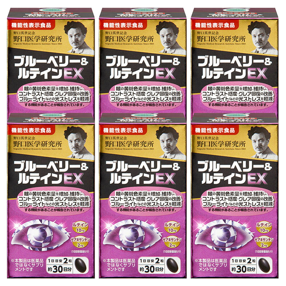 ブルーベリー＆ルテインEX (520mg×60粒)*6個入 機能性表示食品 野口医学研究所