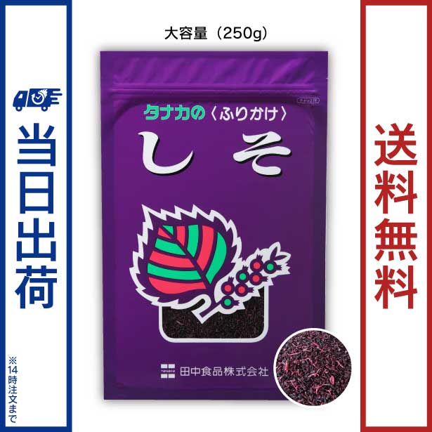 【5個】 ハウス食品 バジル 瓶 4g×5個入 【北海道・沖縄・離島配送不可】[NA]